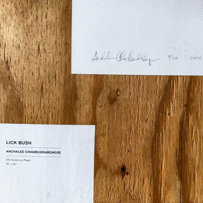 Lick Bush by Anchalee Chambundabonsy  - 5 framed D